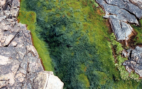 永福崇山村著名画家,桂林永福崇山村